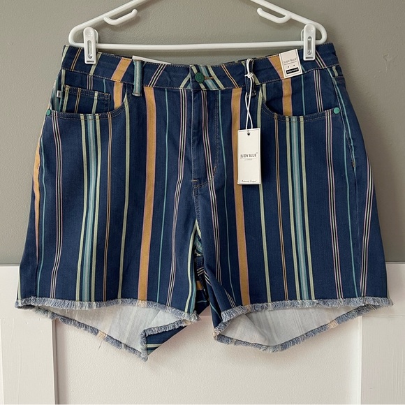 NWT Judy Blue Striped High-Rise Frayed Shorts - Picture 3 of 10
